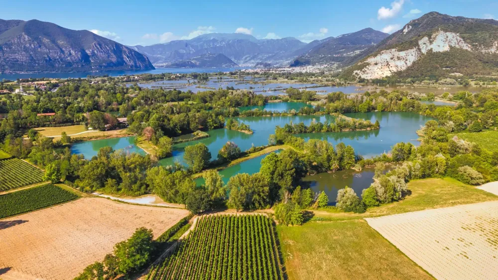 visita-cantine-franciacorta-con-pernottamento-paolo-vi